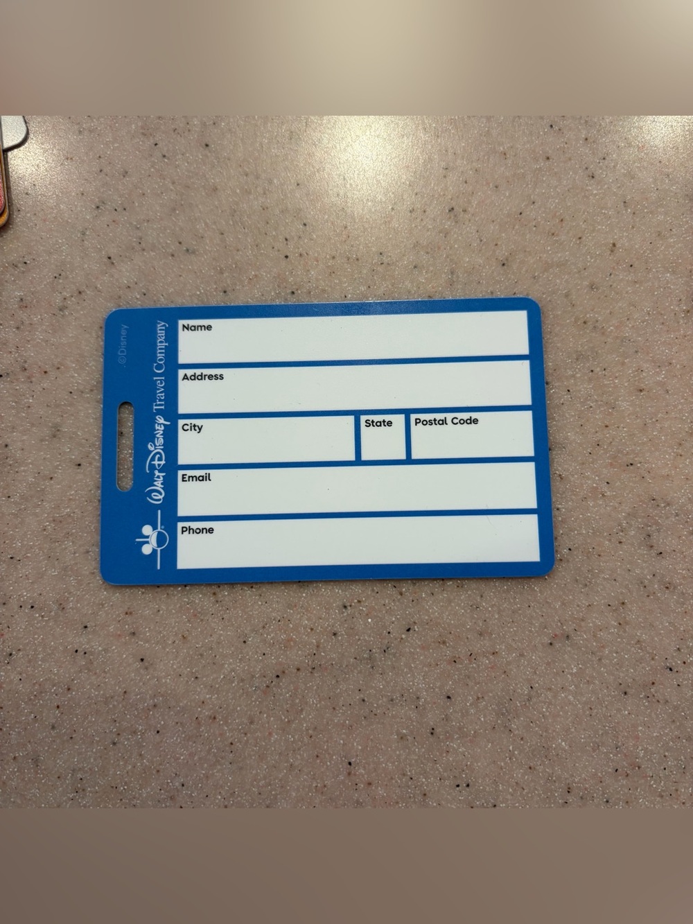 Disney World Luggage Tags - Picture 4 of 4